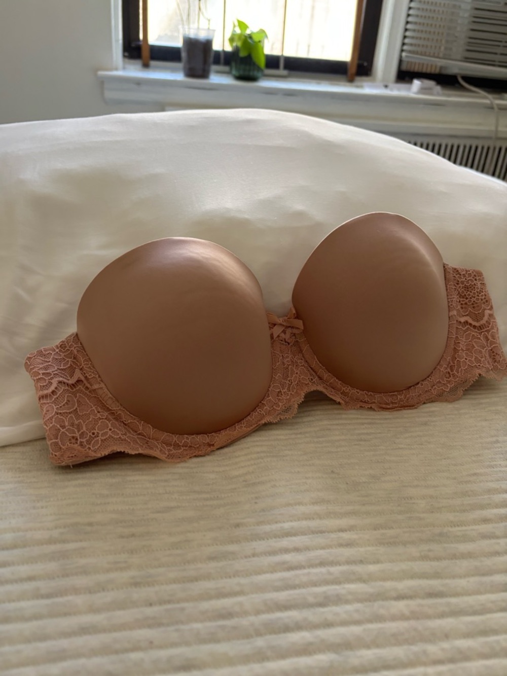 Victoria's Secret Strapless Lace Push-Up Bra in Blush
